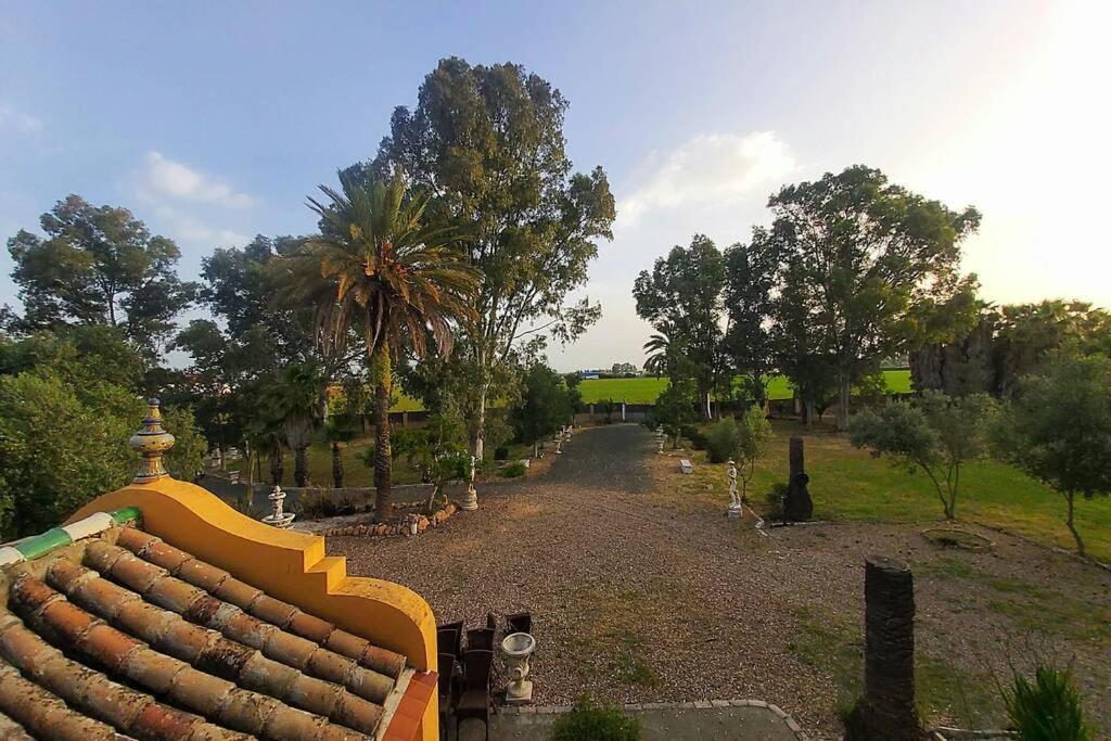 Villa Cortijo San Jose Sevilla Exterior foto